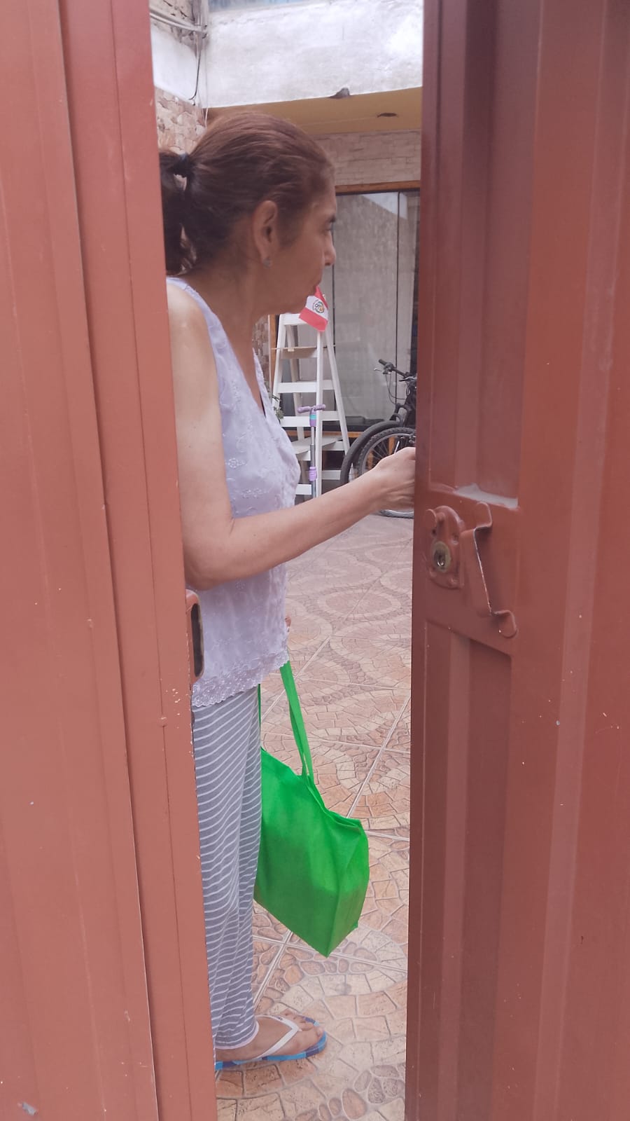 Cliente Disfruto Perú